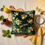 Bitter Sweet Throw Pillow