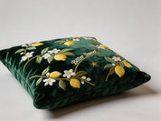 Bitter Sweet Cushion Cover